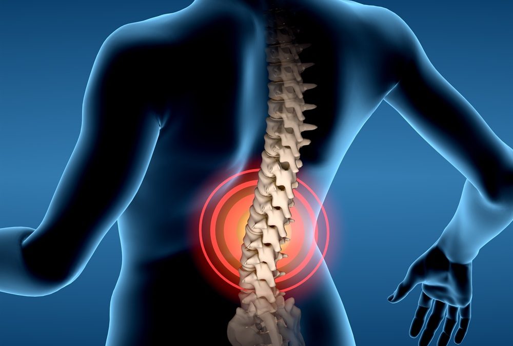 Spinal Disc Surgery in Chennai Best Disc Surgeon, Cost, Hospital in 2022